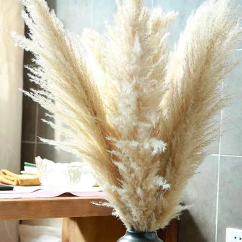 Натуральные сушеные пампасы, 80 см