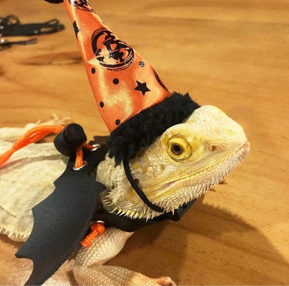 

Bearded Dragon Lizard Leash Harness with Halloween Hat Halloween Pumpkin Set for Reptile Harness Lesh