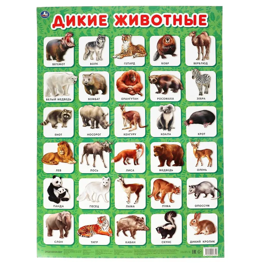 Дикие животные в россии примеры