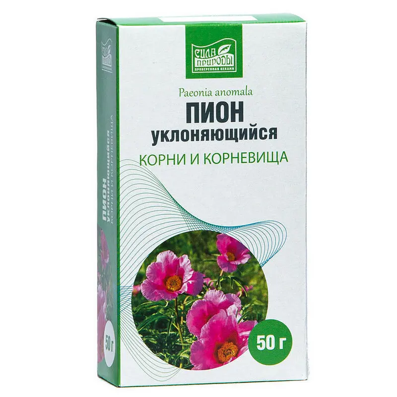 Пион Корень Купить Оптом От Производителя