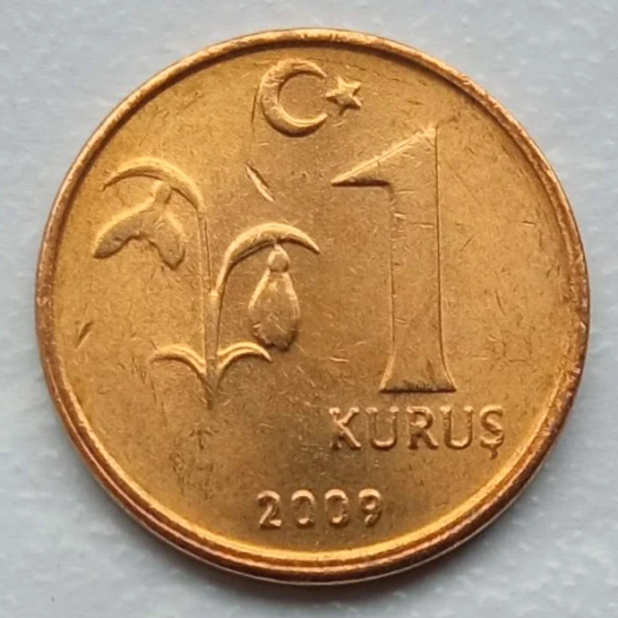 Монета Турция 1 куруш 2009-2021 |