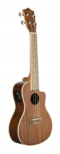 Укулеле концерт MA-CEC LANIKAI | Спорт и развлечения