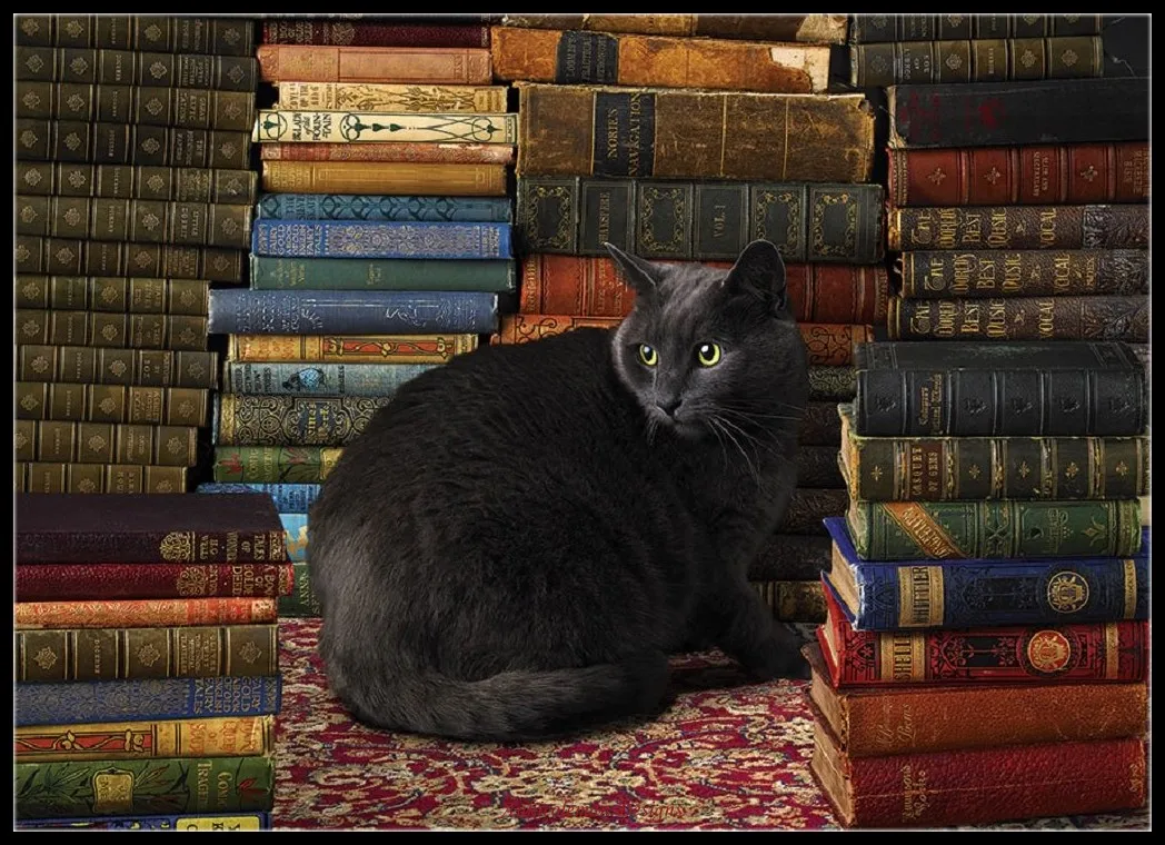 Наборы для вышивки крестиком 14 ct DMC декоративные изделия ручной работы сделай сам