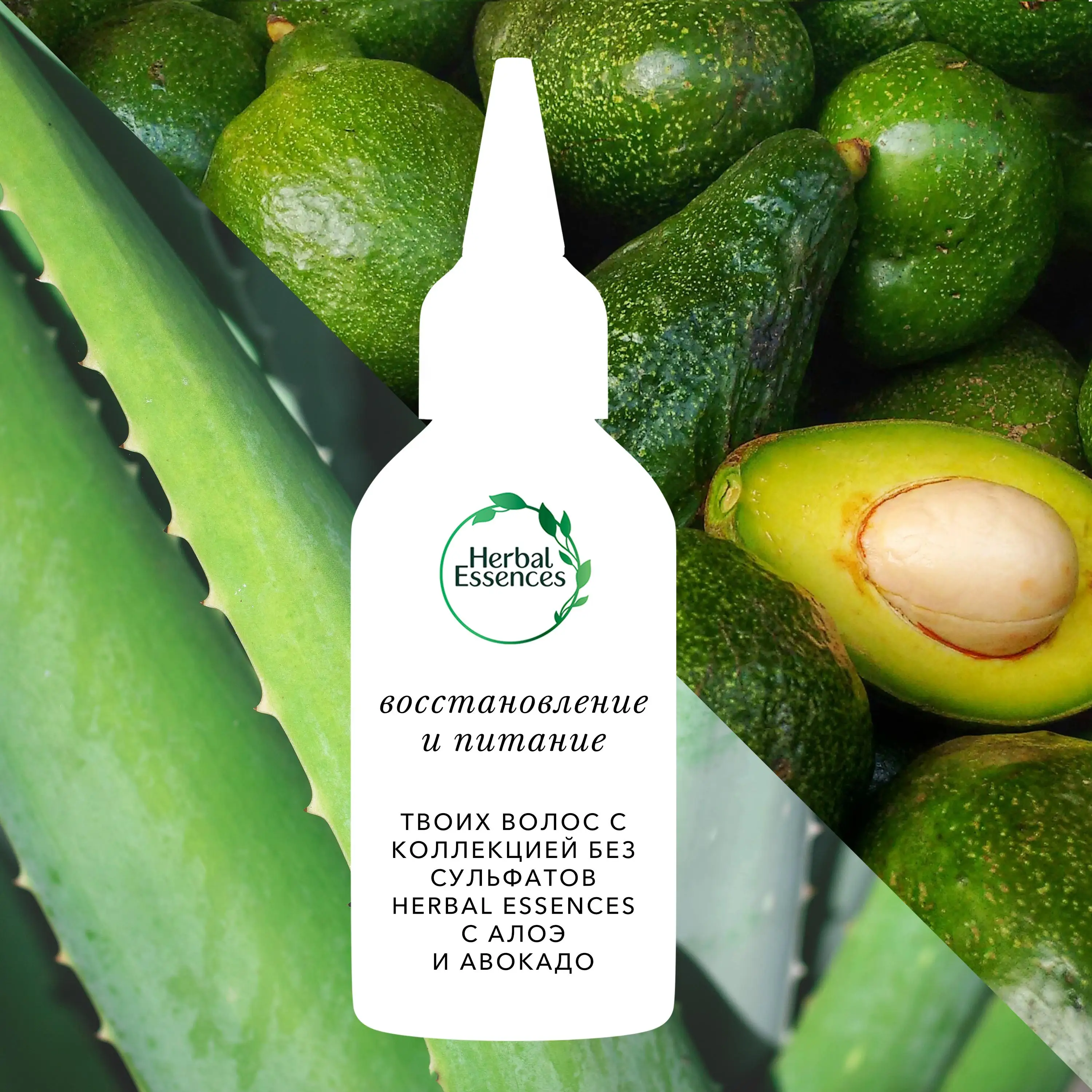 Масло для волос и кожи головы Herbal Essences с алоэ + масло авокадо 100 мл | Красота