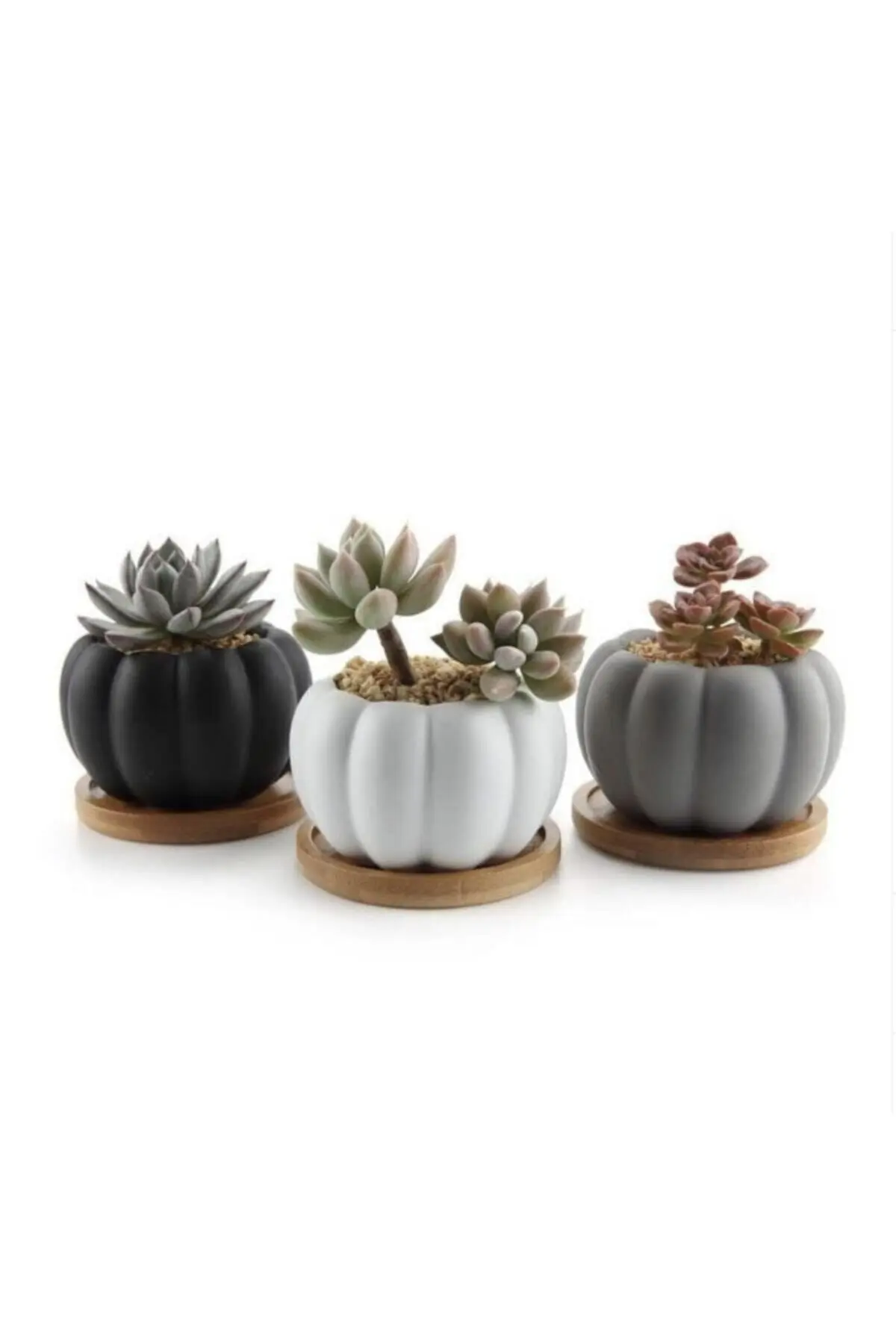 

El Yapımı 3'lü кабак Tasarımlı мини Dekoratif Saksı - Çiçeksiz