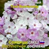 Изображение товара 0