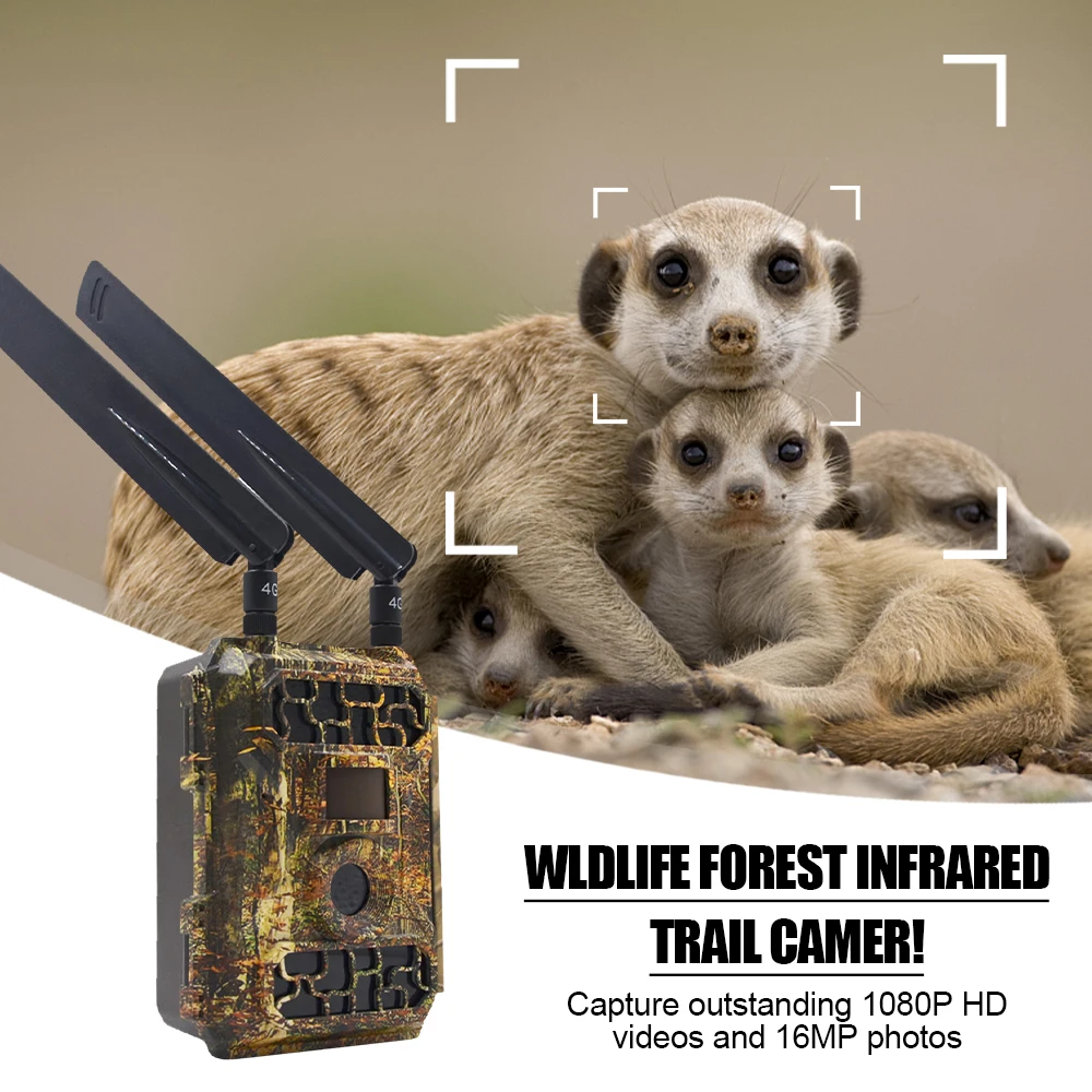 

Wildlife Waterproof Camera IP66 4G Digital Hunting Scouting Trail Camera 4.3CG Surveillance APP Control Nigh Visible Free Ship