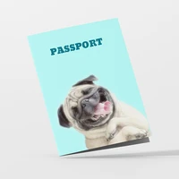 Обложка на паспорт. Что тут сказать... хорошего настроения вам)) #4