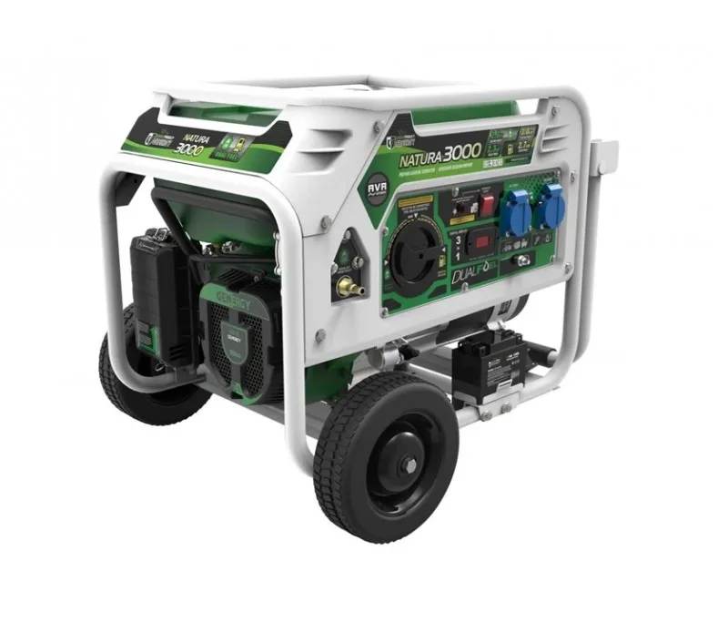 Газовый Генератор GENERGY Nature 3000 W MONOF. 230 В ARR/Электрический | Строительство и ремонт