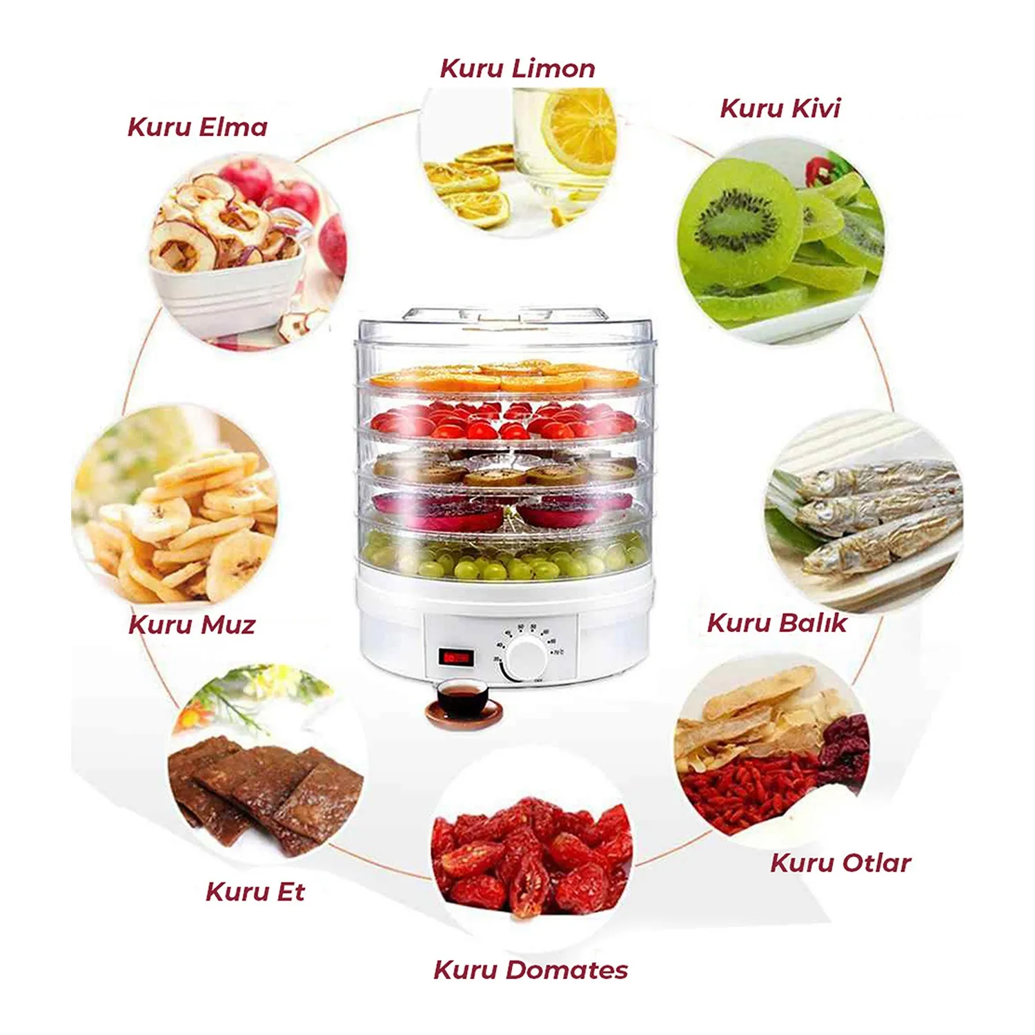 

Fruit Vegetable Dehydrator not frequently European plug easy use kitchen supplies Apple orange or other ürünkurutma machine