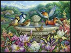 Наборы для вышивки крестиком 14 ct Aida DIY Искусство ручной работы Декор-летние садовые птицы