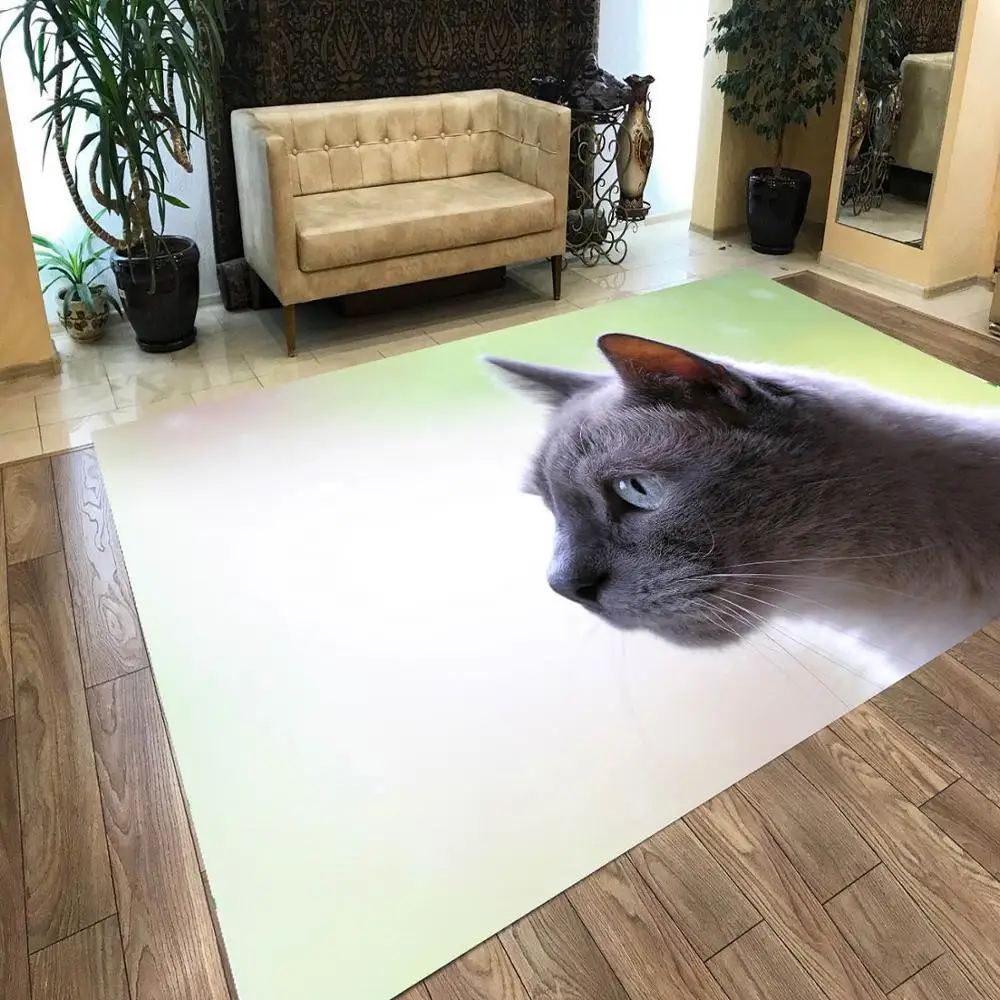 

Cat 8 , Non Slip Floor Carpet,Kitchen Carpet, Teen's Carpet, Corridor Carpet,Area Carpet, modern Carpet