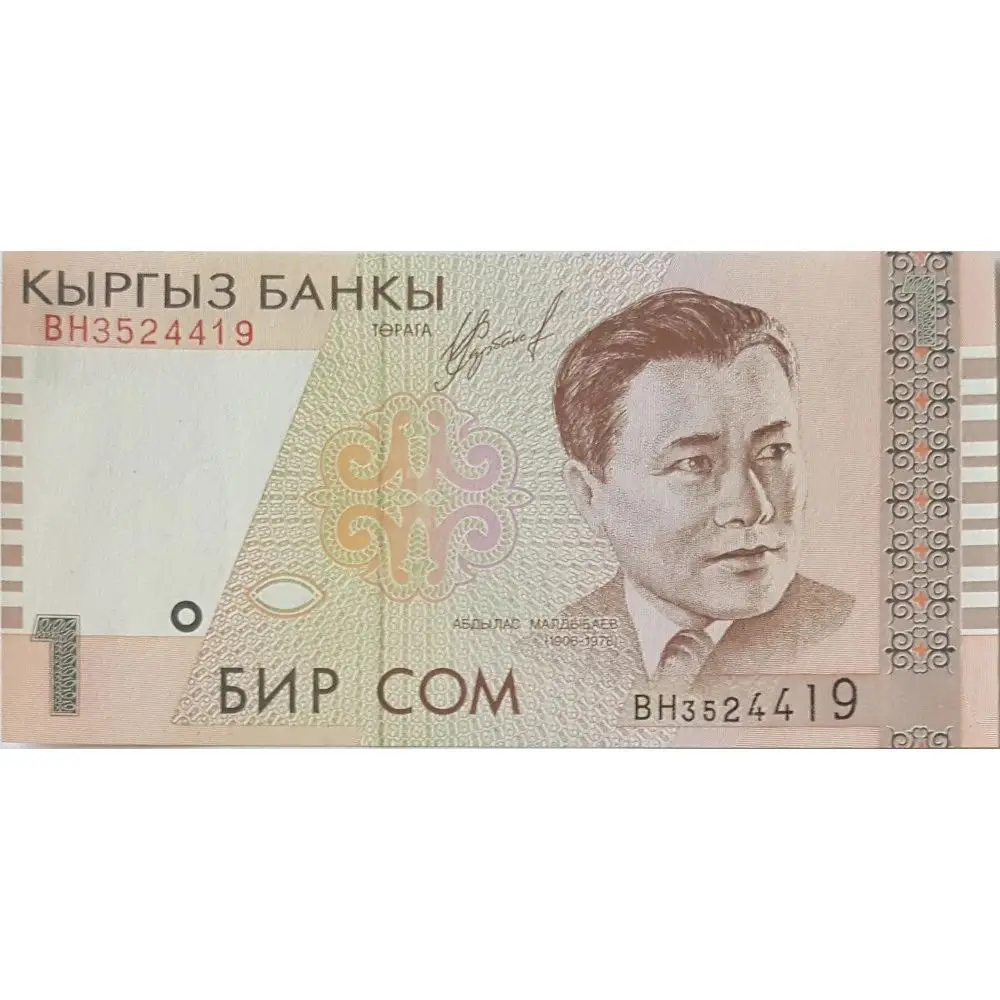 Киргизский сом к суму. Киргизия 1 сом 1999. 1 Сом. Первые сомы в Кыргызстане. Первые квргызские деньги.