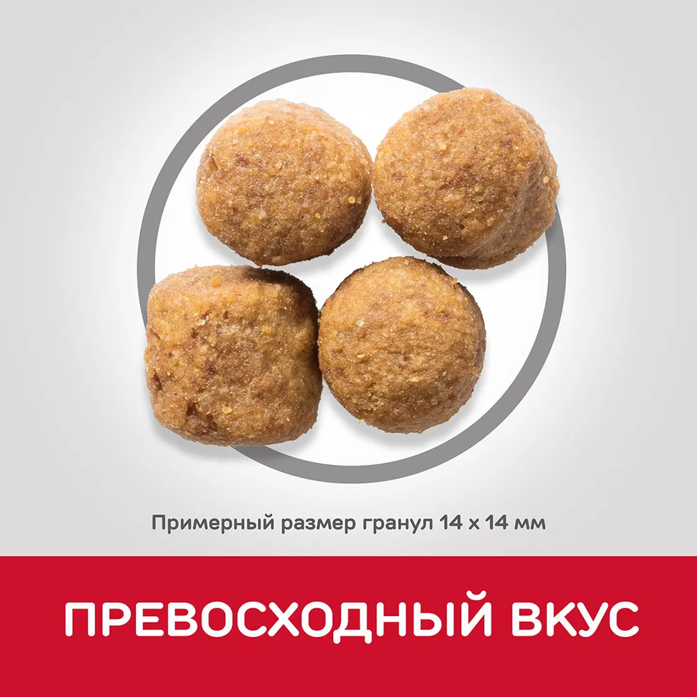 Сухой корм Hill's Science Plan для взрослых собак крупных пород с курицей 2 5 кг|Сухой