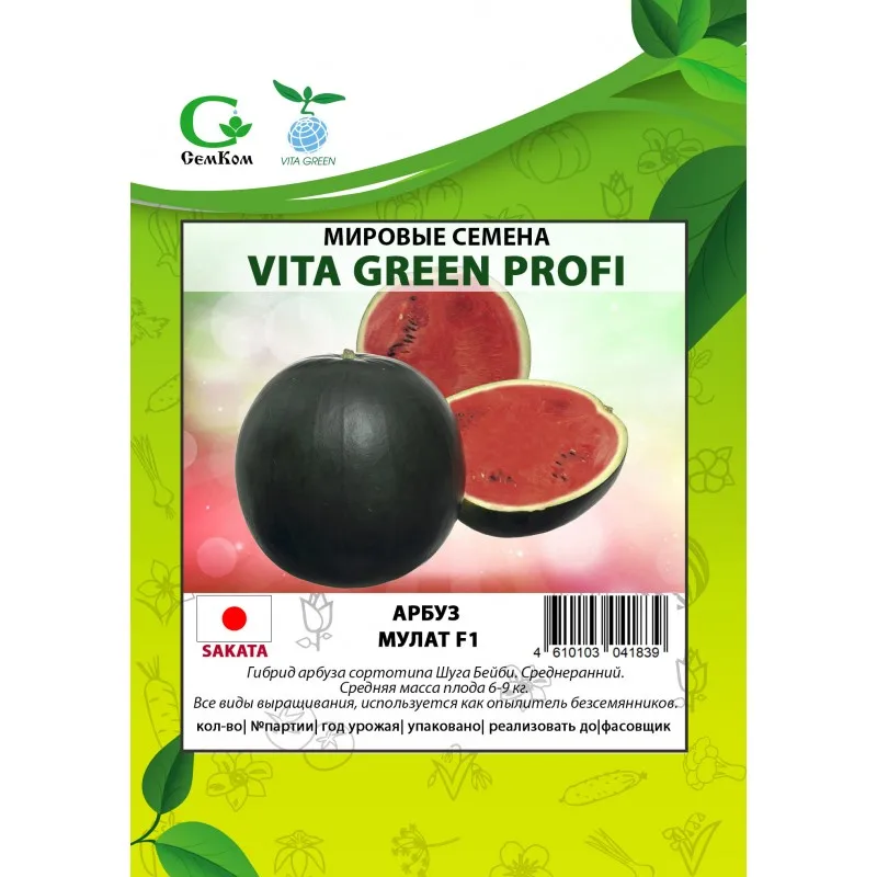 Watermelon seeds Mulate F1 Japanese line professional Vita Green 50 pieces | Seeds