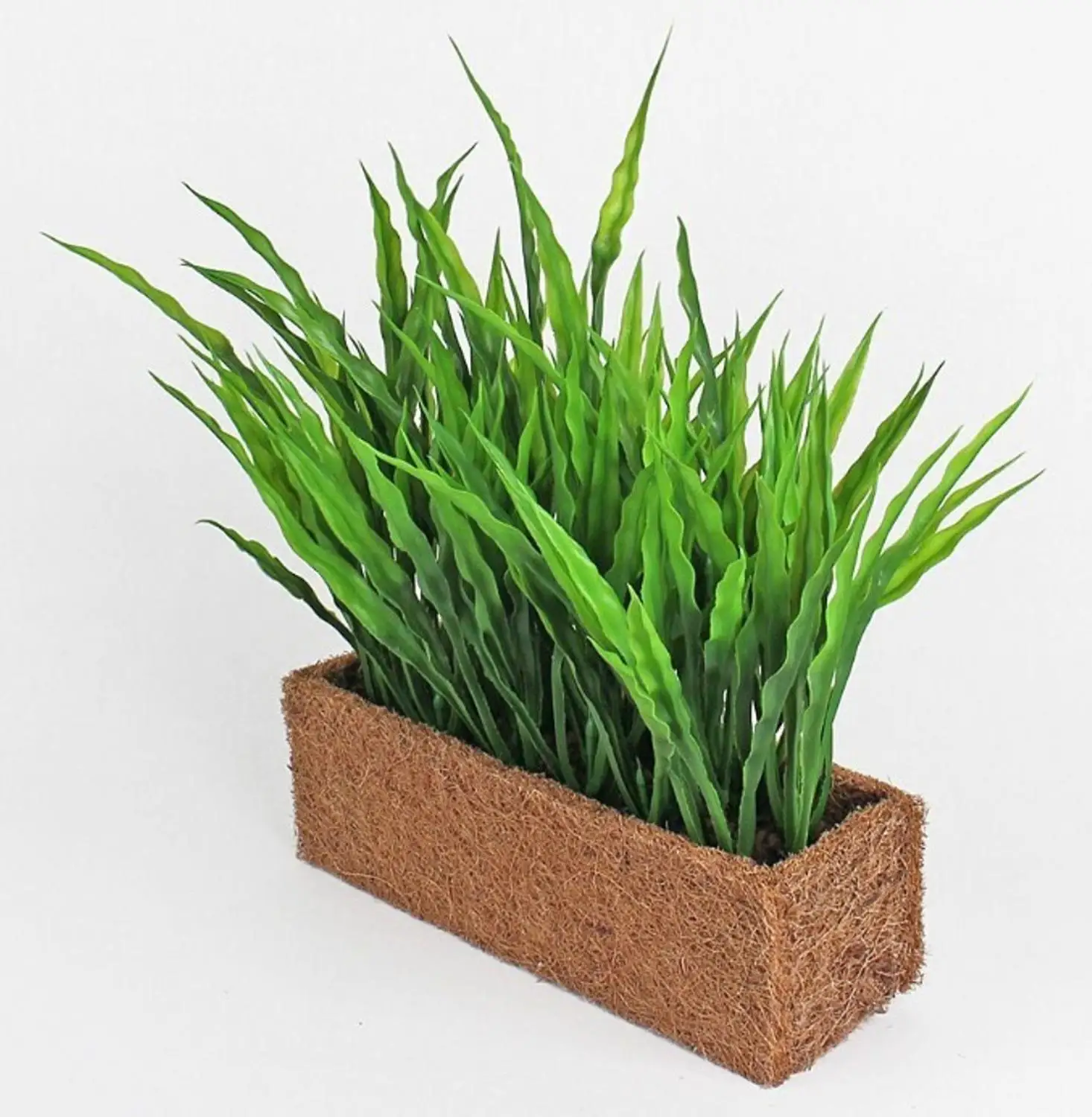 Трава волнистая | Дом и сад