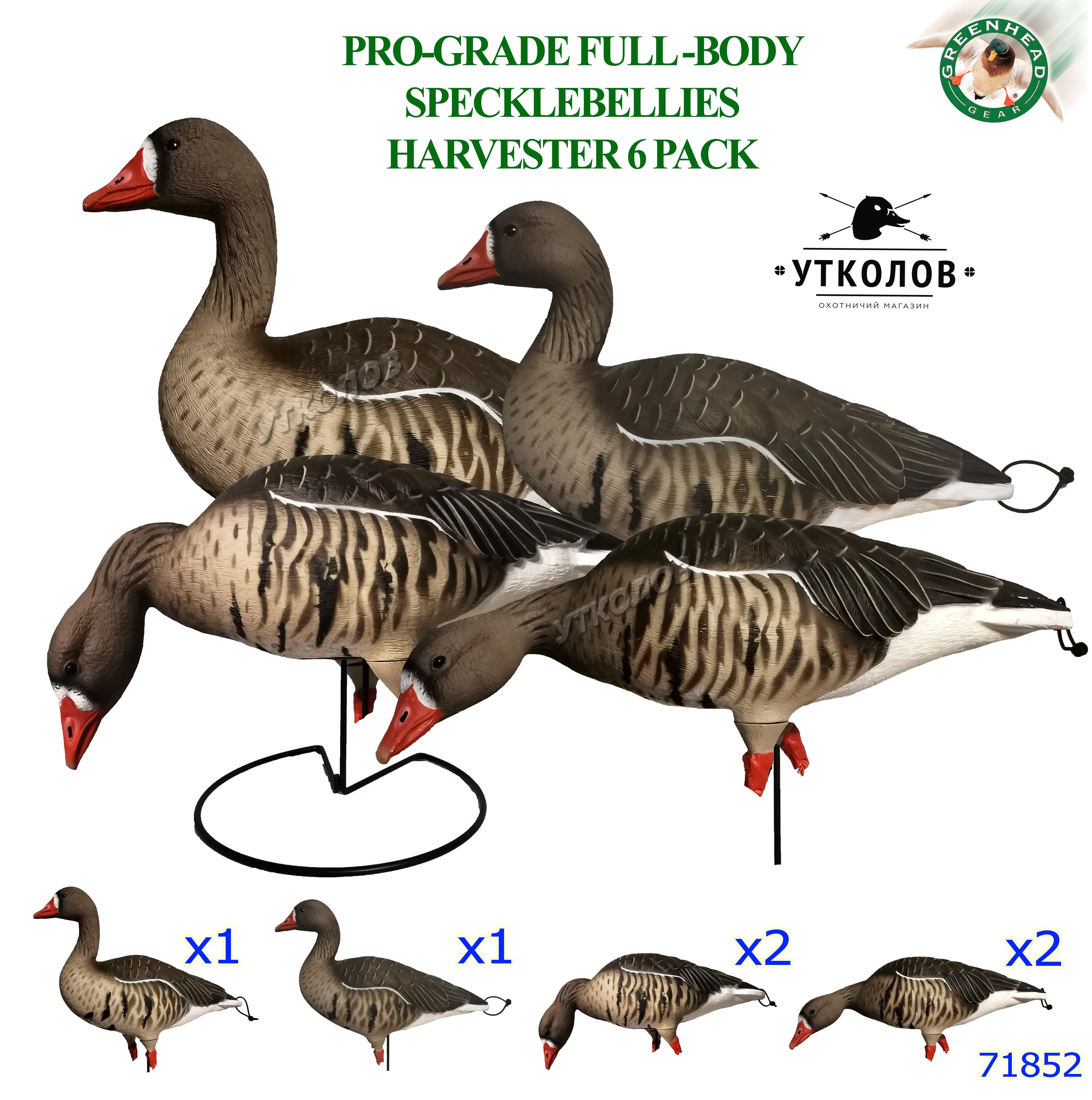 Гуси гринхед. Чучела белолобого гуся bulk decoys. Ghg 71852. Чучела greenhead gear на гуся. Чучела гусей гринхед.