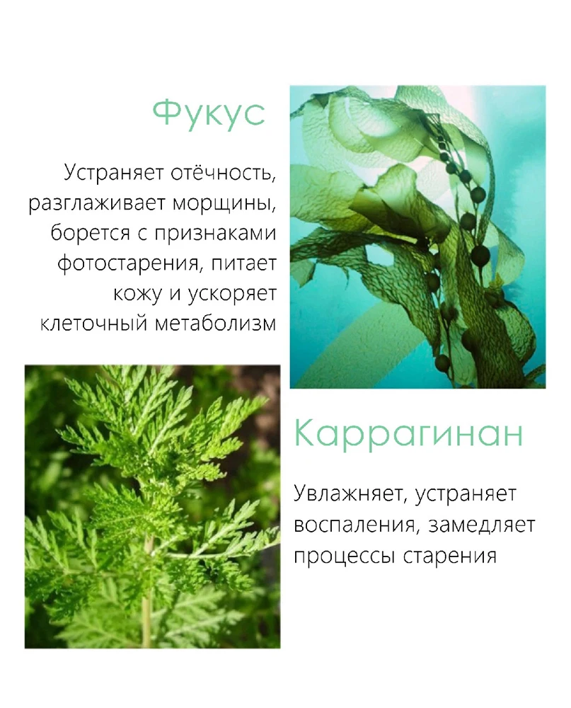 Патчи омолаживающие VENZEN гидрогелевые с каррагенаном и экстрактом фукуса от