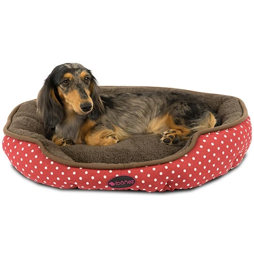 Одежда красного цвета в горошек с кровать средней длины|Дома конуры и манежи| |