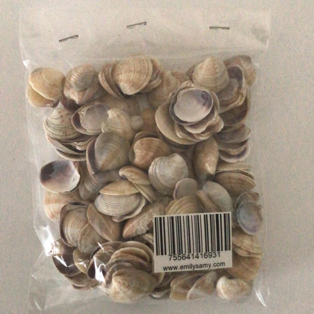 

Good Quality Natural Small Sea Shell Ornament Decorative Aquarium Ornament Conch Embellishment for Home, Office Decoration 100gr