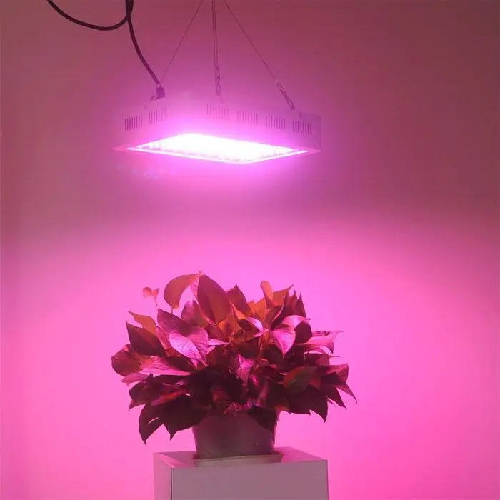 

1000W FULL SPECTRUM SPECTRUM PLANT FLOWER GROWING LAMP LED GROW LIGHT development hzlandr
