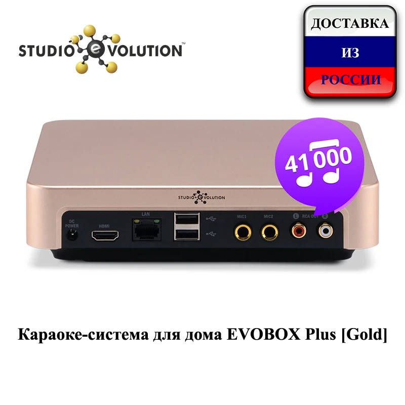 Караоке-система для дома EVOBOX Plus [Gold] | Электроника