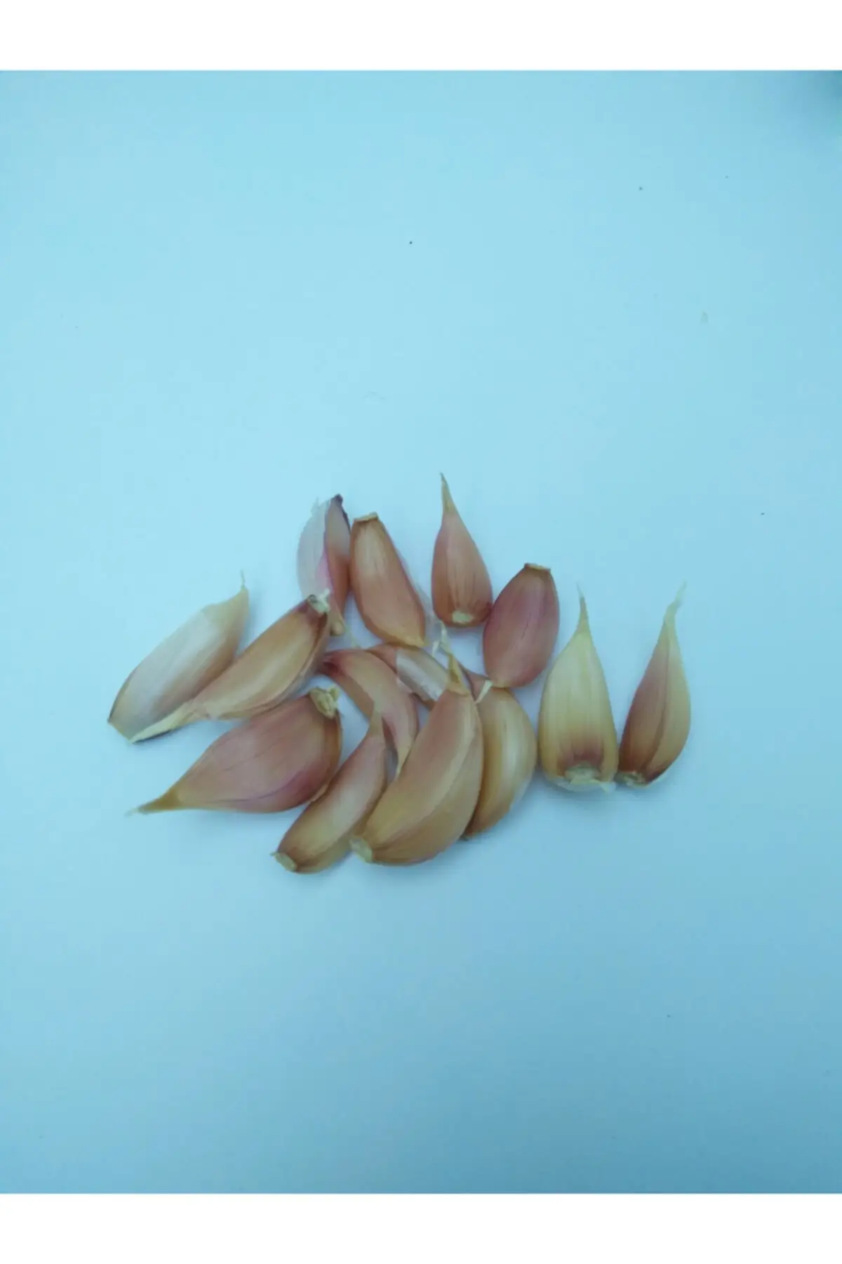 Высокоэффективный шампунь против выпадения волос Bioblas растительные масла 360 мл