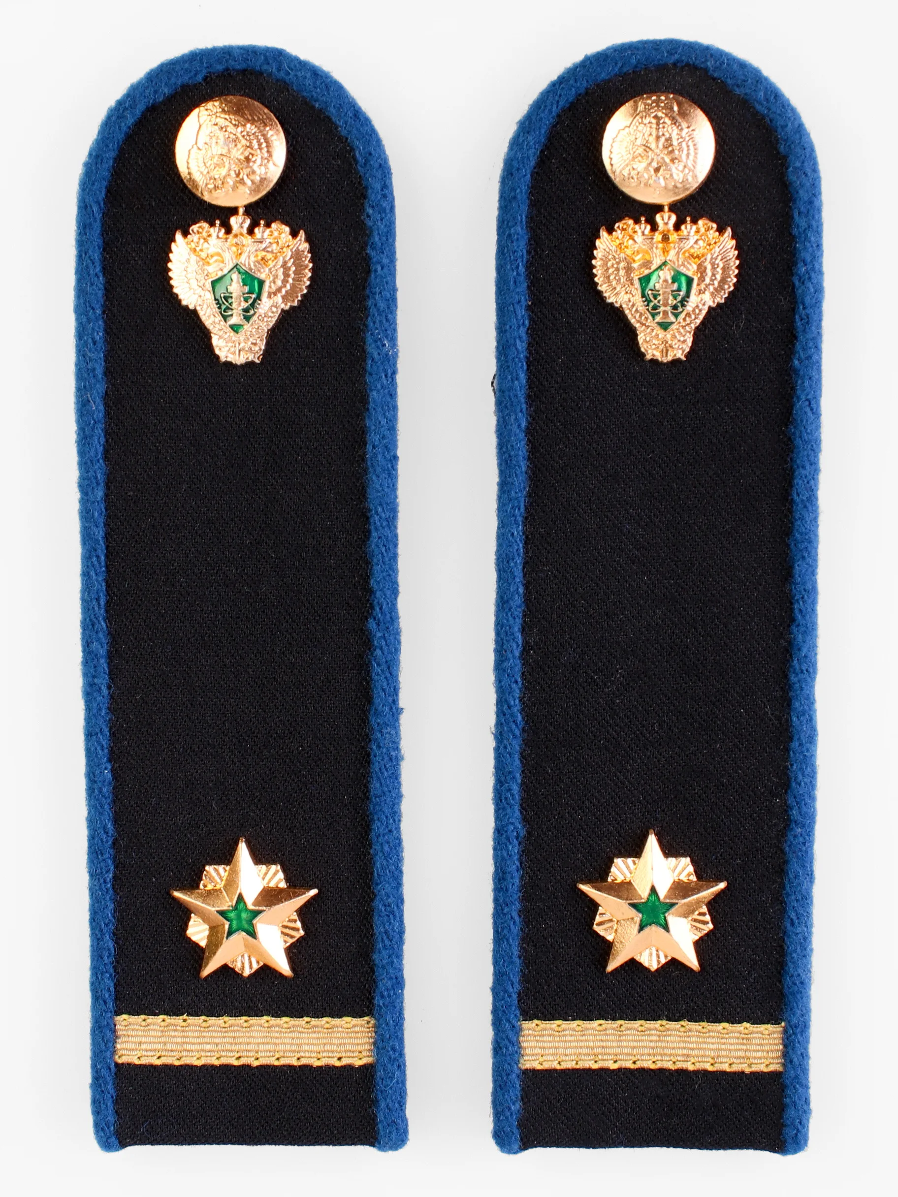 Референт государственной гражданской службы 3 класса. Референт ггс рф погоны. Чины фссп погоны. Звание референт государственной гражданской службы 1 класса. Референт ггс 3 класса погоны фссп.