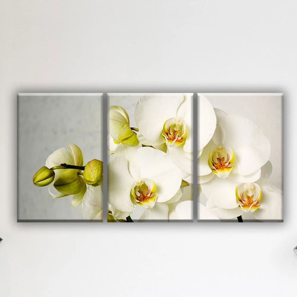 Белая орхидея цветы ветка орхидеи. Модульная картина на холсте 3 модуля триптих.