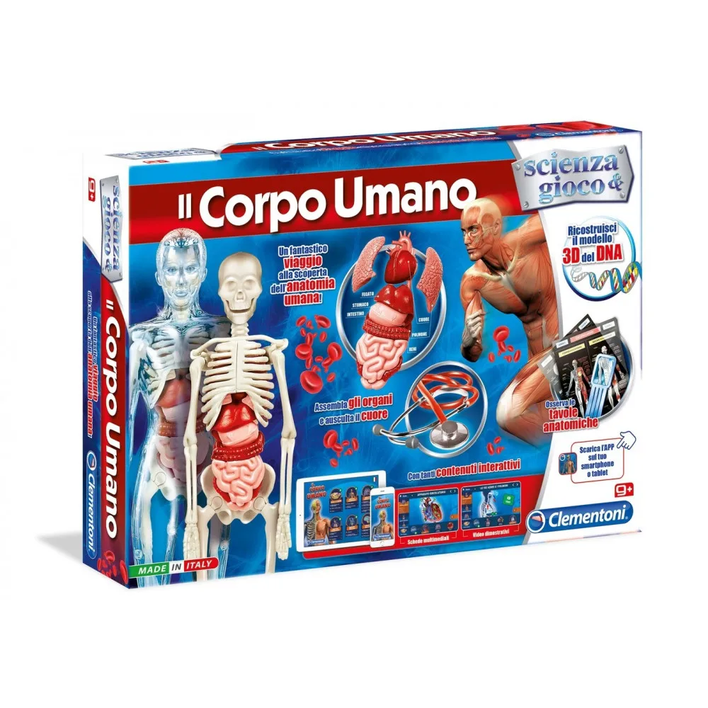 The Human Body Science &amp Game Clementoni | Игрушки и хобби