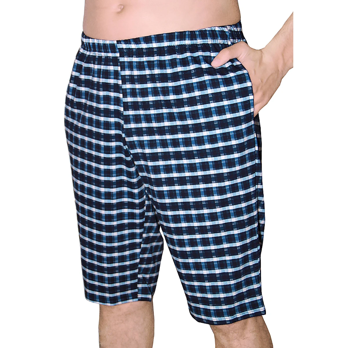 Бриджи (Basia) (арт. Д351)|Мужские шорты| |