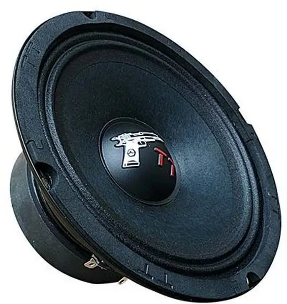 Акустика разнообразие Урал TT 165 (2 динамика входят в комплект)| |