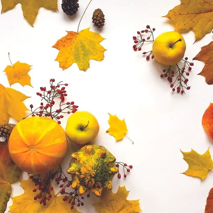 Занавески фрукты и тыквы на деревенском деревянном столе обои Урожай страны