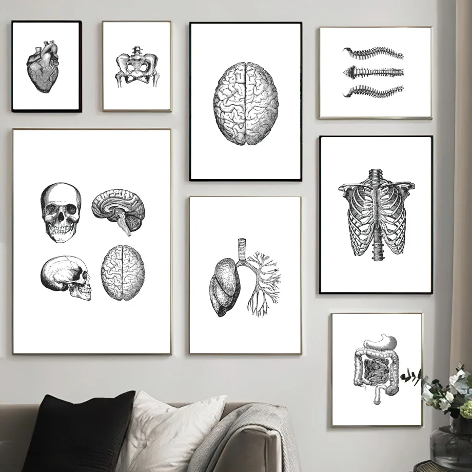 

Anatomy Spine Skull Heart Brain Digestive System Nordic Posters And Prints Wall Art Canvas Painting Medicine Pictures Room Decor