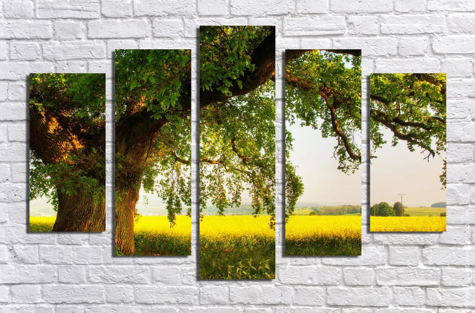 Модульная Картина Купить Природа