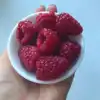 Изображение товара 0