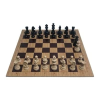flocked professional chess set high quality leisure strategy and intelligence king 95 mm wood floor 5050 cm travel games