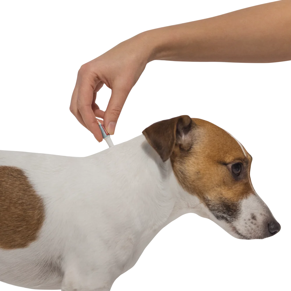 Bayer Адвантикс капли для щенков и собак 4-10 кг, от клещей, блох и комаров  1 пипетка | AliExpress