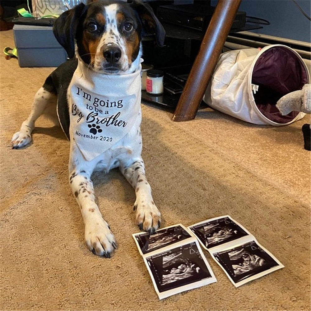 Персонализированные Дата текста Собака Бандана я буду a Big Brother объявление