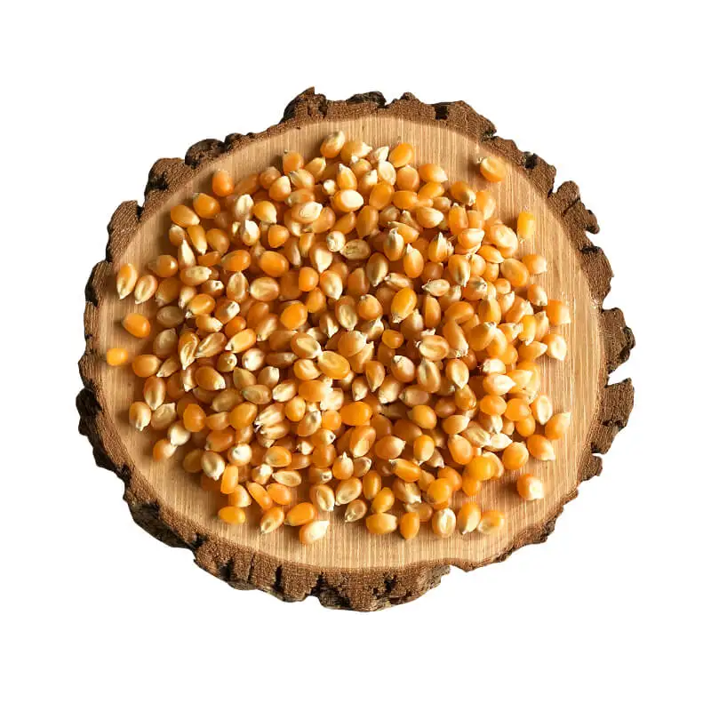 Высокое качество органический английский попкорн сухой фруктовый корм чудесный