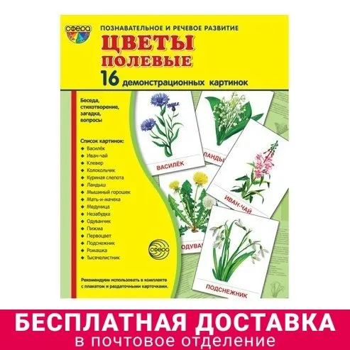 Сфера ТЦ издательство Демонстрационные картинки Цветы полевые 16 карточек с