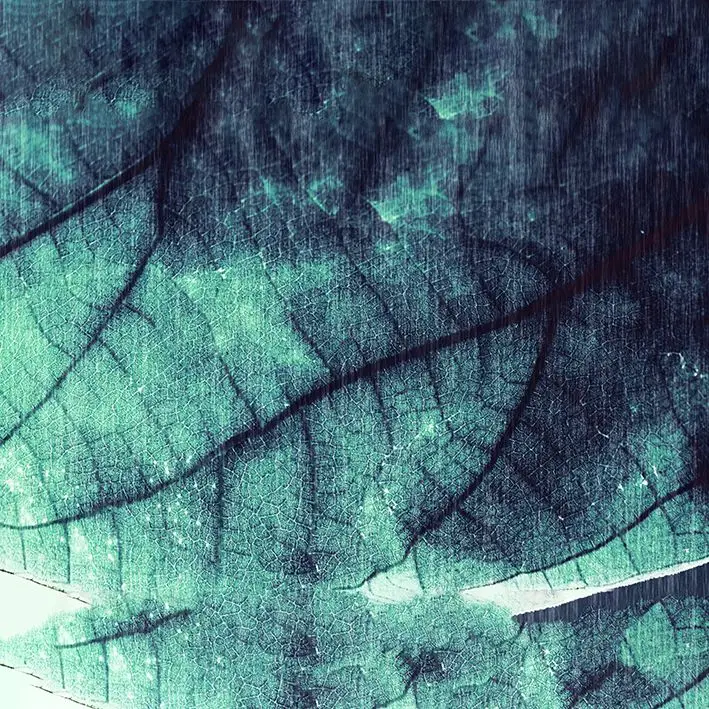 Занавеска тропические листья Листва Ретро Состаренный вид Природа тема