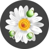 Изображение товара 0