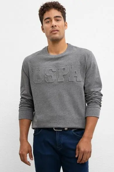 Поло США ASSN. Серый стандартный Свитшот | Мужская одежда