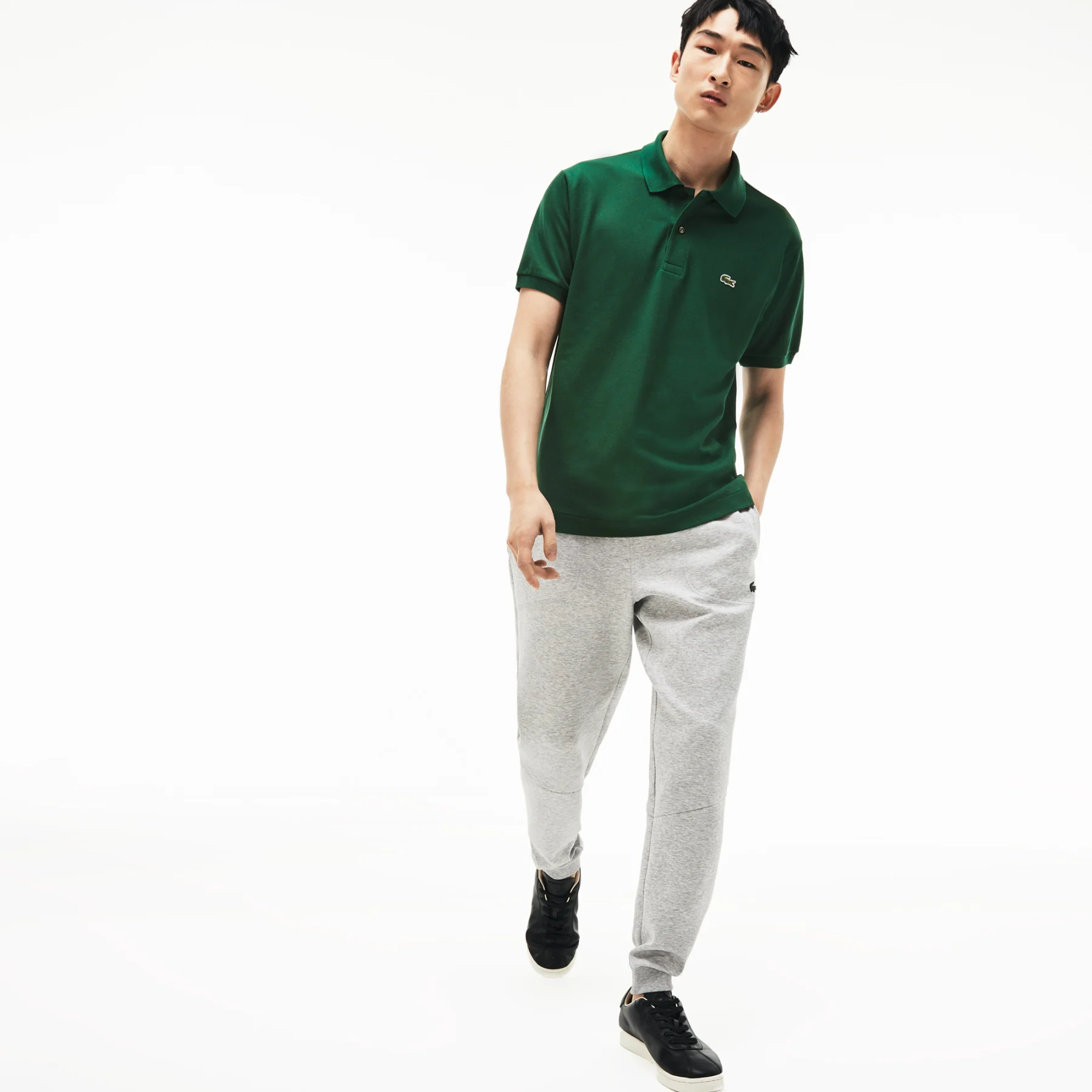 polo lacosta