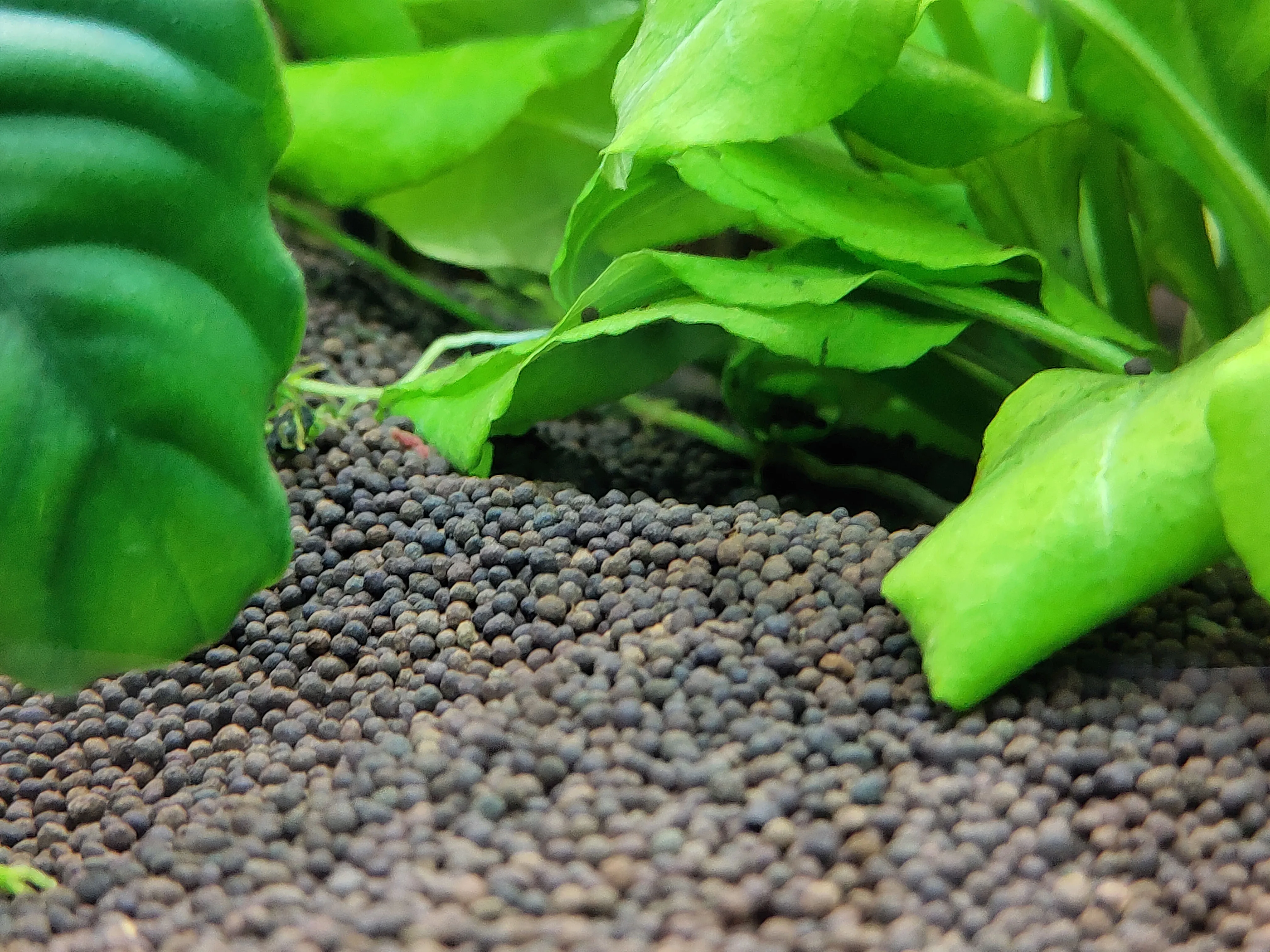 пропант для аквариума. пропант алюмосиликатный. пропант для аквариума. грунт пропант для аквариума. грунт пропант.