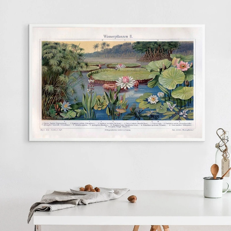 Водяные лилии растения принты колодки пруд Бог цветок ботанический винтажный