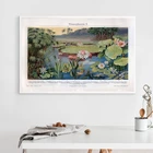 Водяные лилии растения принты лилии колодки пруд Бог цветок ботанический винтажный настенный плакат Искусство Холст Картина лотоса деревенский Декор