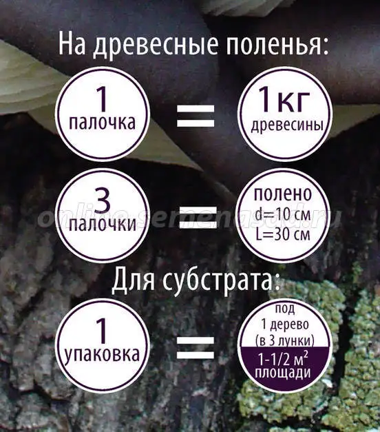 Мицелий Трюфель белый или итальянский (60 мл.) |