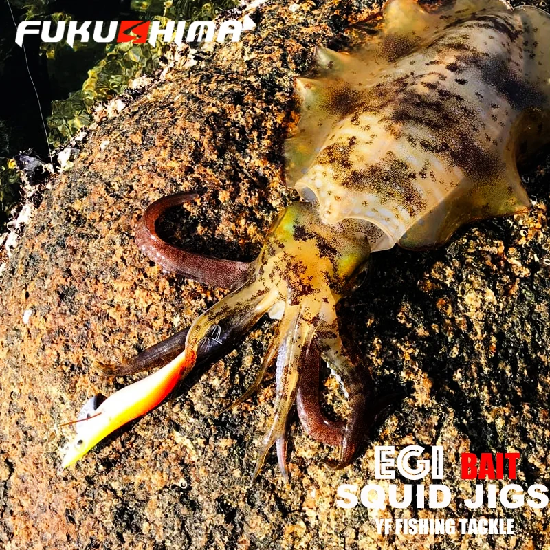 FUKUSHIMA 2-3.5 SQUID JIGS EGI LURE FISHING WOOD SHRIMP BAIT CUTTLEFISH OCTOPS GLOW TAIL SHARP HOOKS 21GRAM ROCK & BOAT FISHING